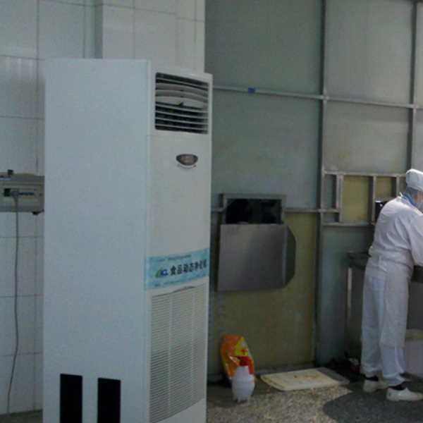 宣城食品正负离子空气杀菌器